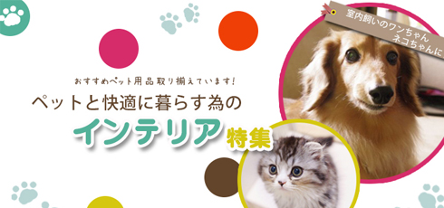 鳥取 DIY＆リフォームショップREROOM【ペット特集 滑り止め】